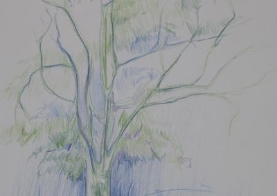 w podróży, wiosenne drzewo 21×29,7