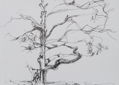 w podróży, uschnięte drzewo / Barcelona 10x13cm