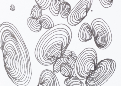 growing miniatura (8)9x5cm