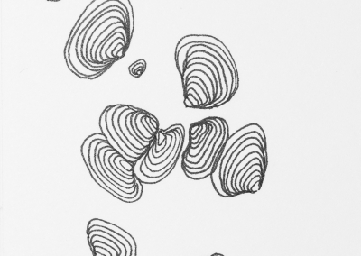 growing miniatura (6)9x5cm