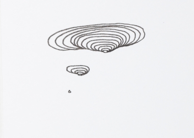 growing miniatura (9)9x5cm