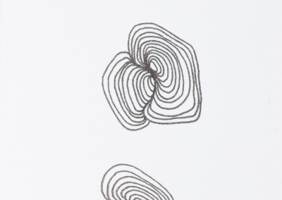 growing miniatura (2)9x5cm