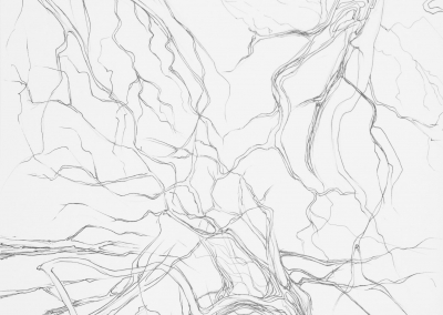 zwykliNiezwykli, preludium